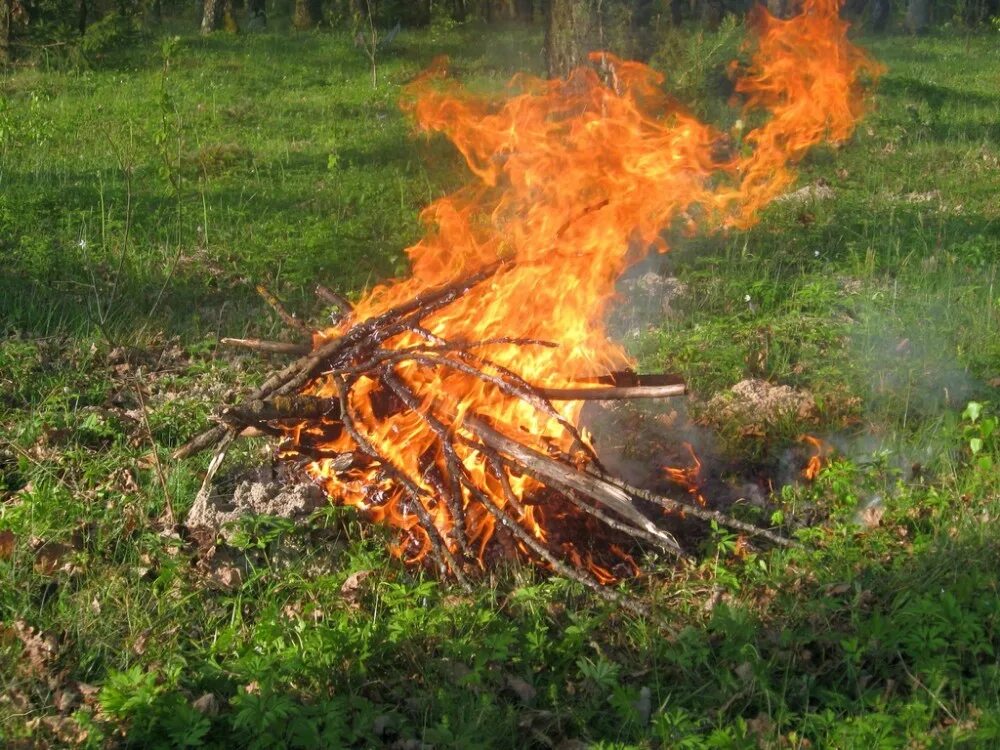 Можно ли жечь ветки на своем участке. Непотушенный костёр Лесной пожар. Пожар из за костра в лесу. Костер. Непотушенный костер в лесу.