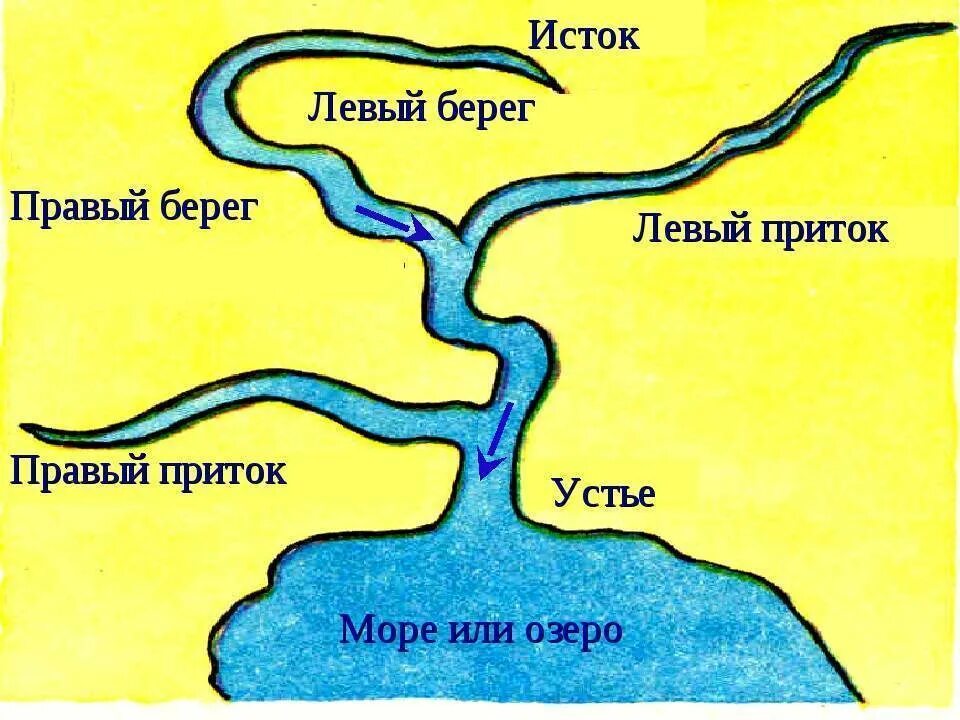 2 берега где находятся. Исток реки Устье реки правый приток левый приток. Схема реки Исток приток Устье. Схема рек Исток Устье правый приток. Схема реки Исток русло Устье.