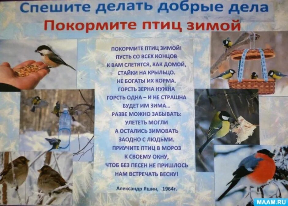Мероприятия для детей про птиц. Мероприятия для детей про птиц. Мероприятия для детей про птиц. Листовки накормите птиц. Мероприятия для детей про птиц.
