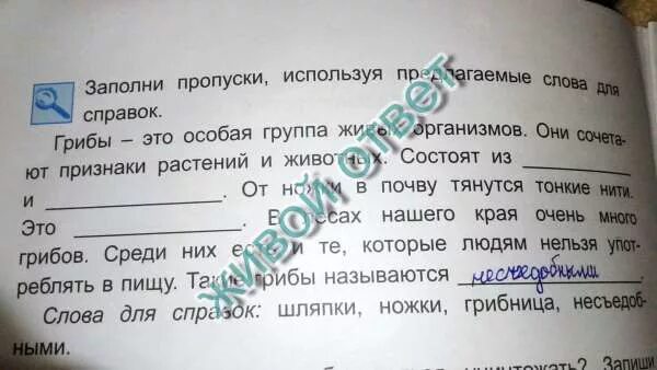 Заполните пропуски используйте слова. Заполни пропуски в тексте. слова для справок гриб. слова для справок. заполни пропуски в названиях животных.