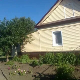 Погода белые пруды даниловский волгоградская область