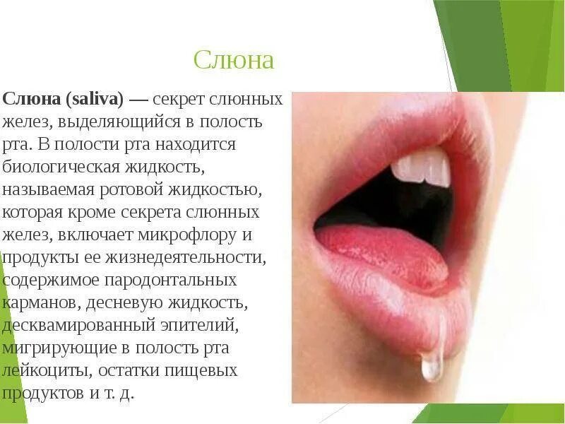 Солоно во рту причины у мужчин. Заболевания полости рта.