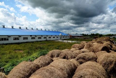 Фермерский край