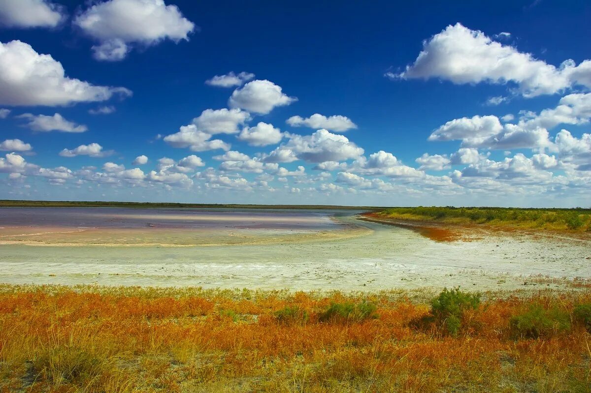 калмыкия деревни. калмыкия пейзажи. одинокий тополь элиста. метеостанция утта в калмыкии. виктор коксодаев «рассвет в степи.