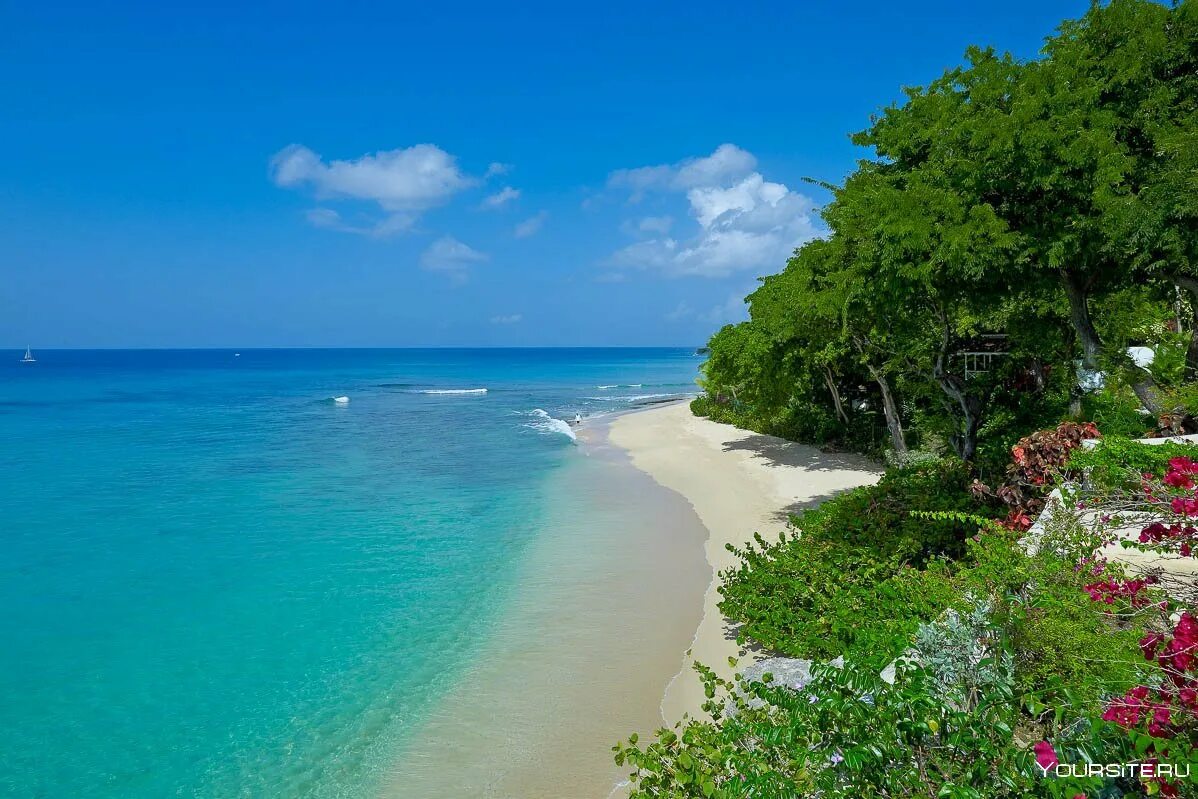 Что такое барбадос. Barbados остров. барбадос барбадос. остров барбадос столица.