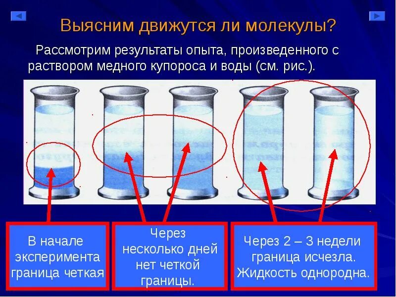 В начале эксперимента