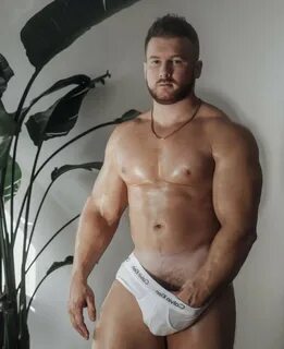 Gay Porn Pics. 