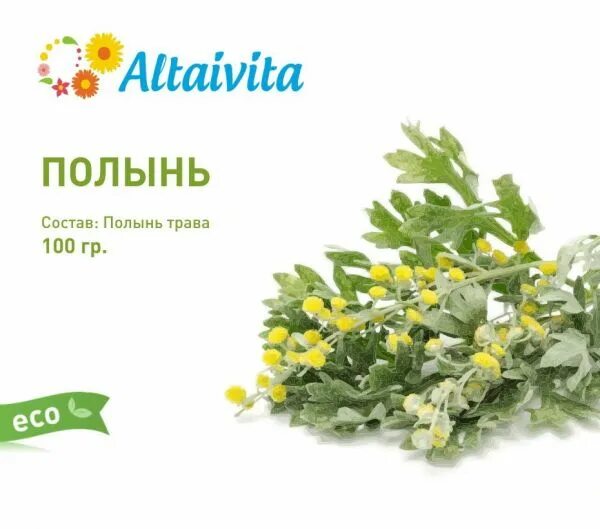 Цитварное семя полыни. Горькие травы список. Полынь для похудание. Каталог полынь новосибирск женская. Полынь обыкновенная.