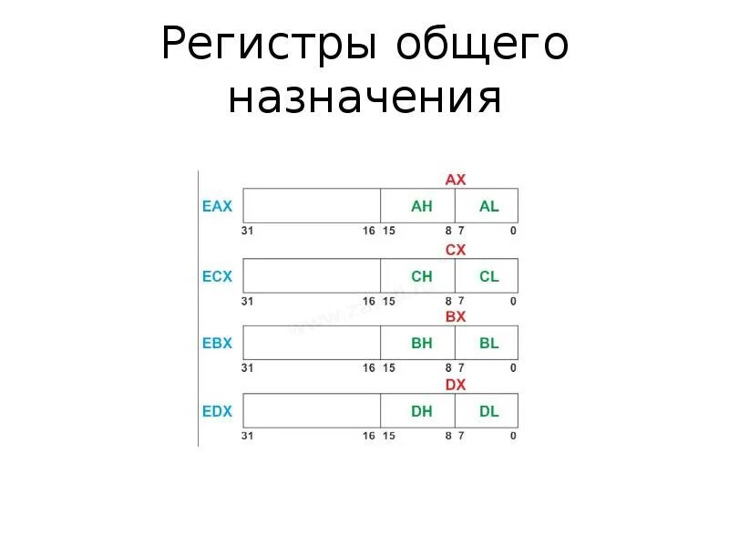 Чем отличаются регистры. Регистры общего назначения ассемблер. Регистры общего назначения процессора. Регистры специального назначения ассемблер. Регистры общего назначения схема.