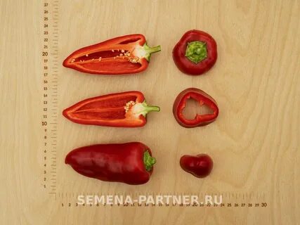 Перец союз отзывы