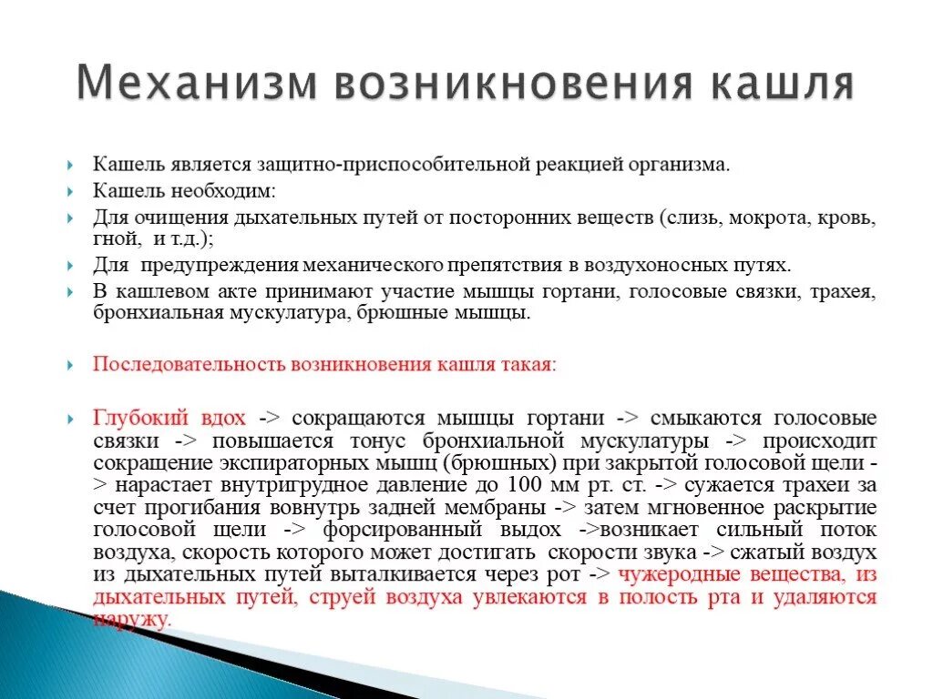 Кашлел или кашлял как пишется. Механизм образования кашля. Кашель механизм происхождения. Механизм возникновения кашлевого значения. Механизм сухого кашля.