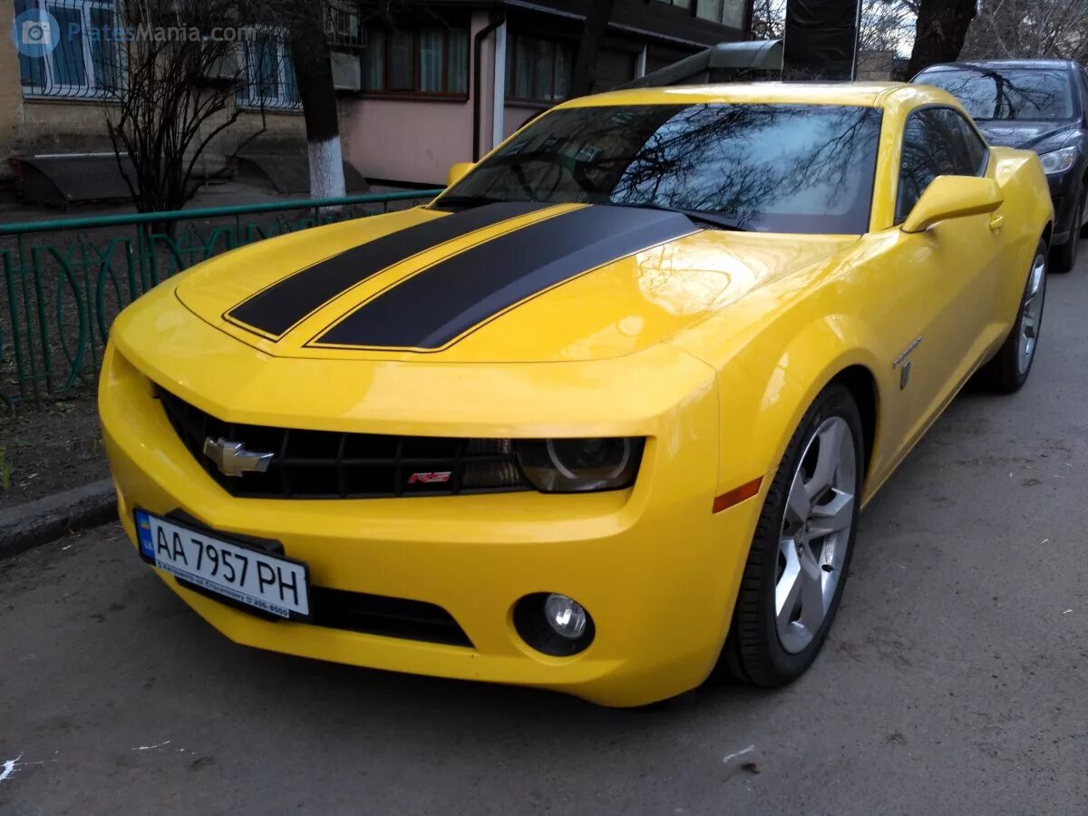 Шевроле Камаро мажор. Chevrolet Ukraine. Шевроле Камаро Украина. Шевроле Камаро Саратов. Авито брянск купить шевроле