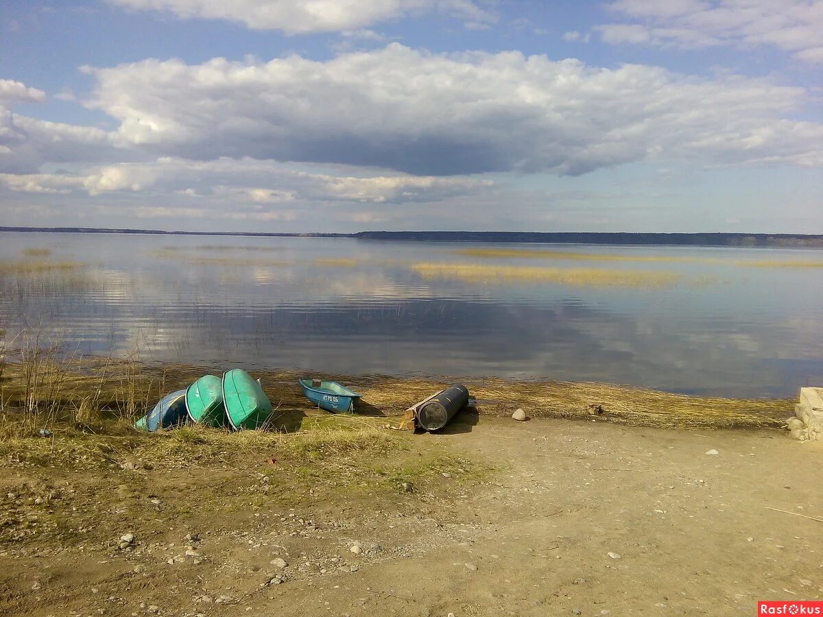 Озеро отрадное приозерский. Озеро Отрадное Приозерский район. Отрадное (озеро) озёра Приозерского района. Петрушино Отрадное озеро. Озеро Отрадное мыс птичий.