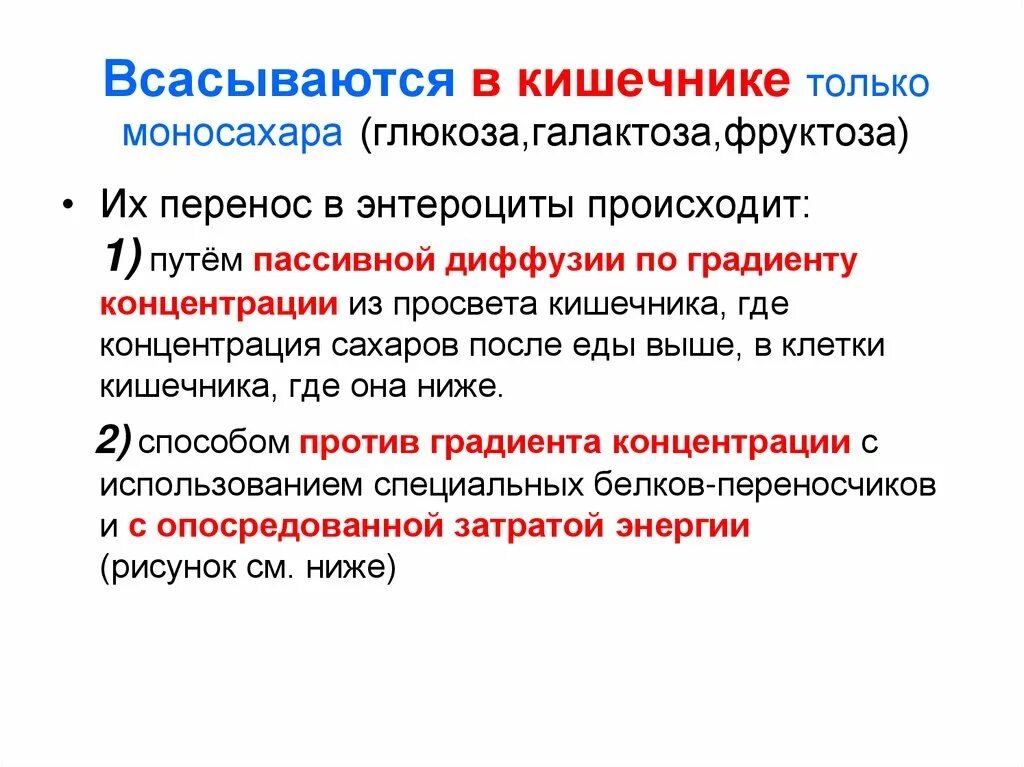 Каким образом происходит регистрация. Всасывание Глюкозы в кишечнике. Всасывание Глюкозы фруктозы галактозы. Нарушение всасывания Глюкозы-галактозы что это. Всасывание Глюкозы в тонком кишечнике.