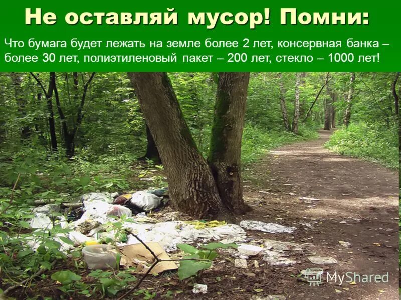 не мусорить в лесах. кирпичи валяются. человек лежит на земле спиной. все на земле лежать будут. прикольные надгробия.