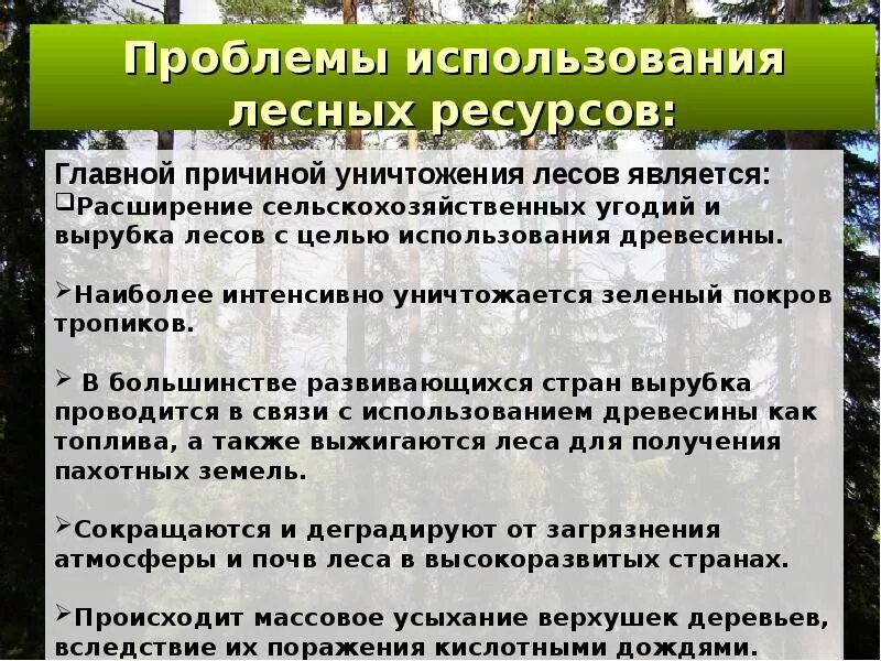 Проблемы природно ресурсной. Проблемы лесных ресурсов. Проблемы использования лесных ресурсов. Лесные ресурсы пути решения. Лесные ресурсы презентация.