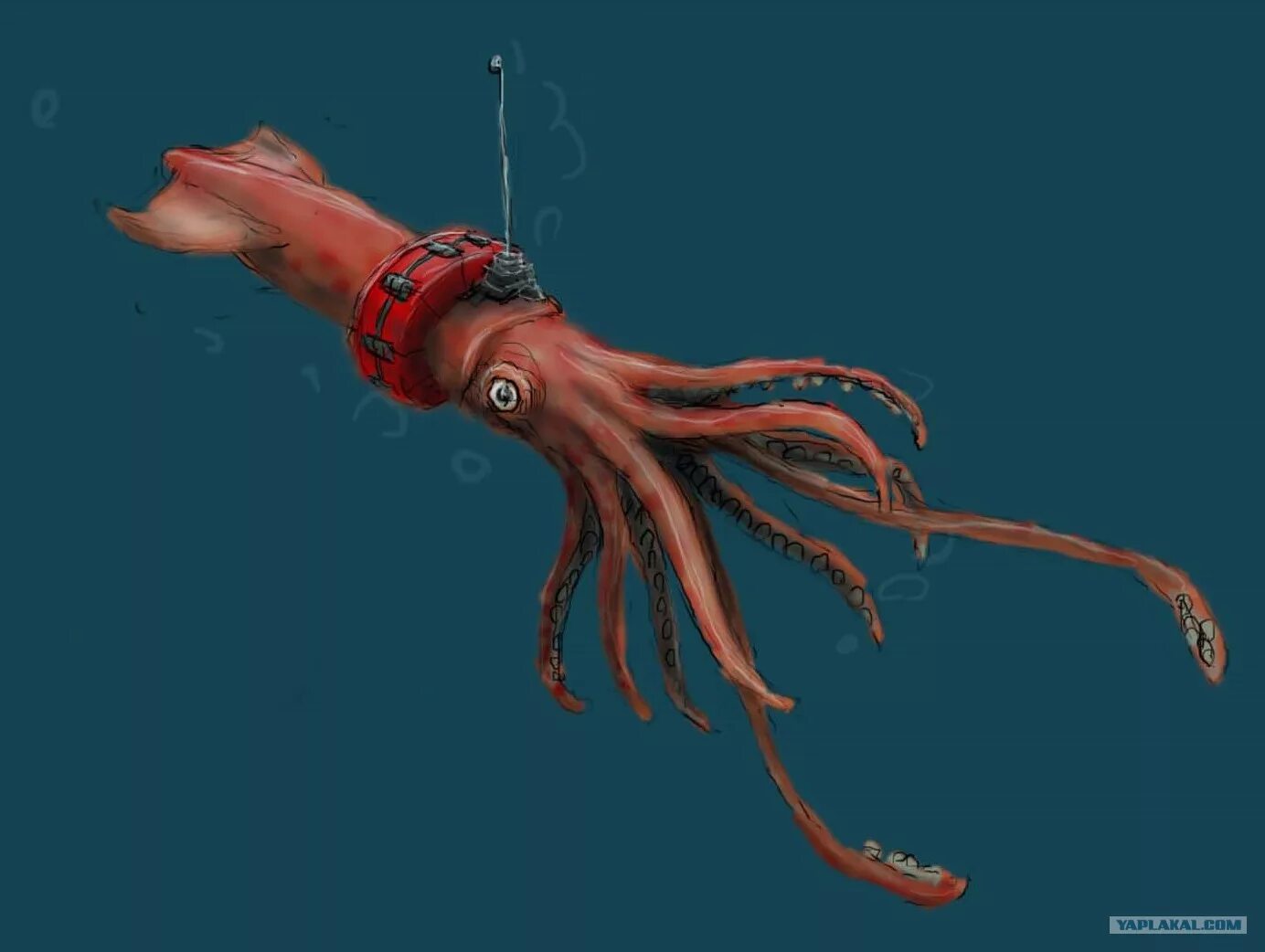 Игра кальмара 0