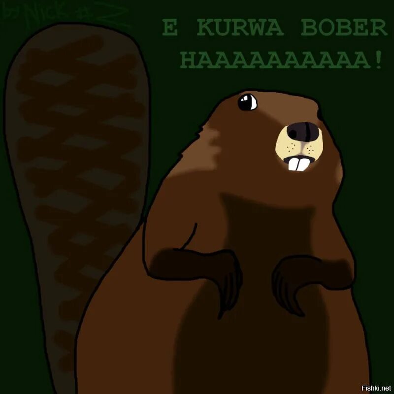 Bobr kurwa ja pierdole jakie bydle. Бобер kurwa. поляк и бобер. bobr kurwa мем. поляки и бобр.