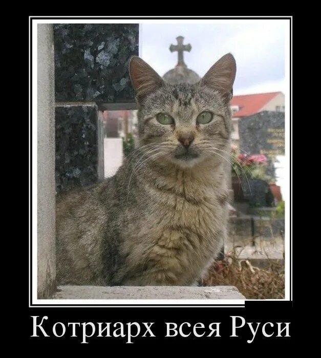 Такой вариант не пойдет. Такой вариант не пойдет