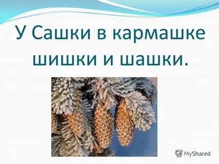 Составить слова шишка