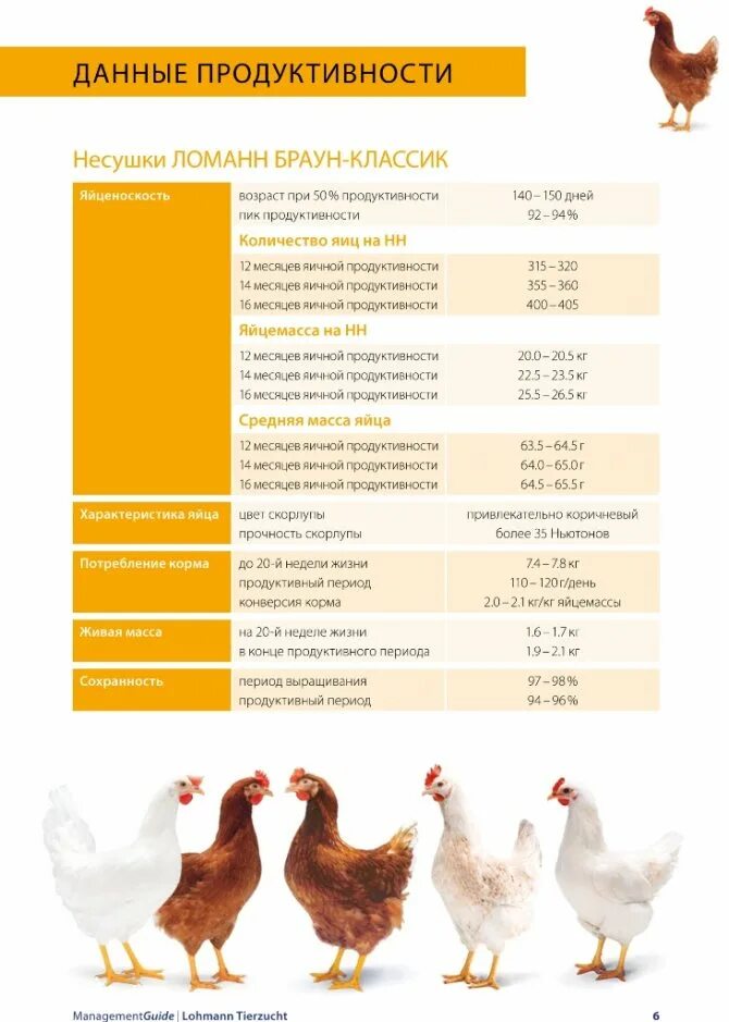 С какого возраста бройлеров. Несушки Ломан Браун нормы кормления. Таблица продуктивности кур несушек мясо яичных. Курица мясо яичных пород бройлеров. Таблица роста цыплят Ломан Браун.