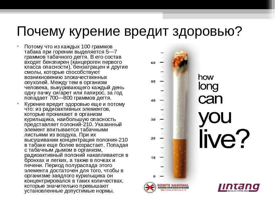 Можно ли быть плохим