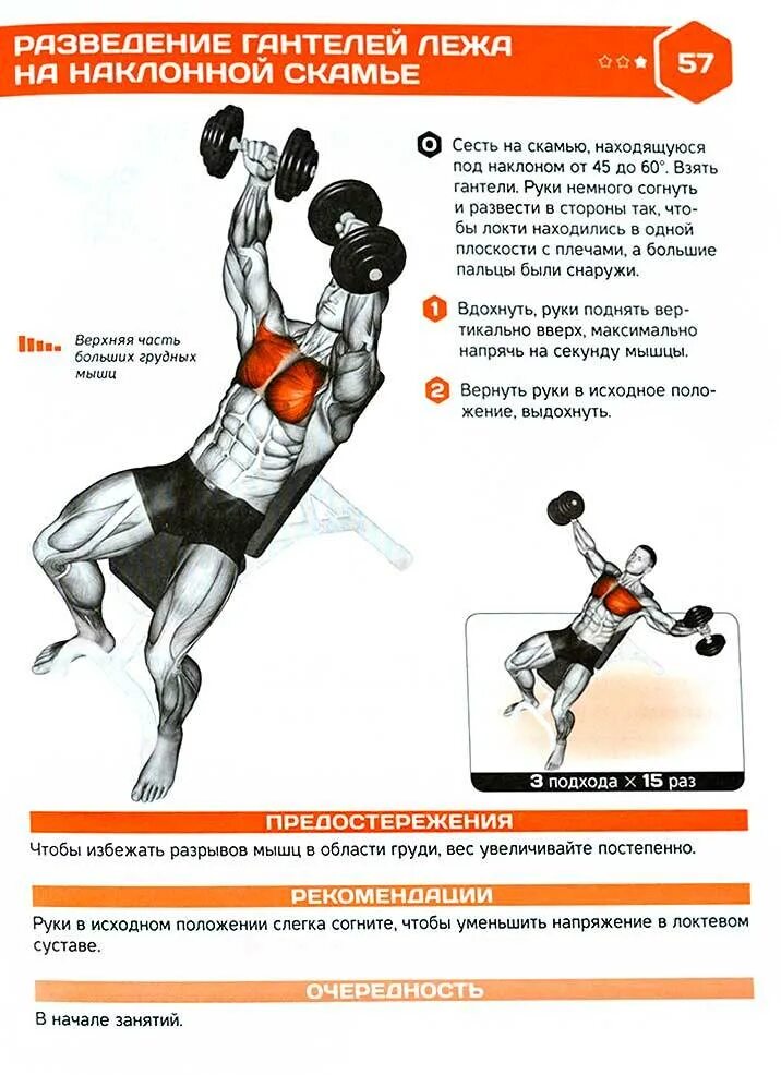 Разведение гантелей техника. Упражнения на грудную мышцу разводка гантелей. Упражнения с гантелями с описанием. Упражнения с гантелей мышцы. Разводка упражнение с гантелями.