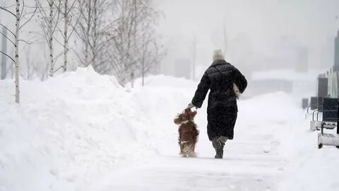 Метель 11 января