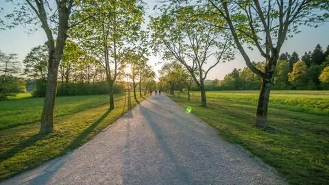 Nice walk
