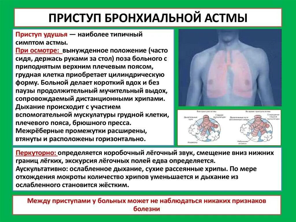 Признаки воздуха в легких. Тип грудной клетки при бронхиальной астме. Приступ бронхиальной астмы симптомы. Приступ удушья при бронхиальной астме. Приступ удушья при бронхиальной астме симптомы.