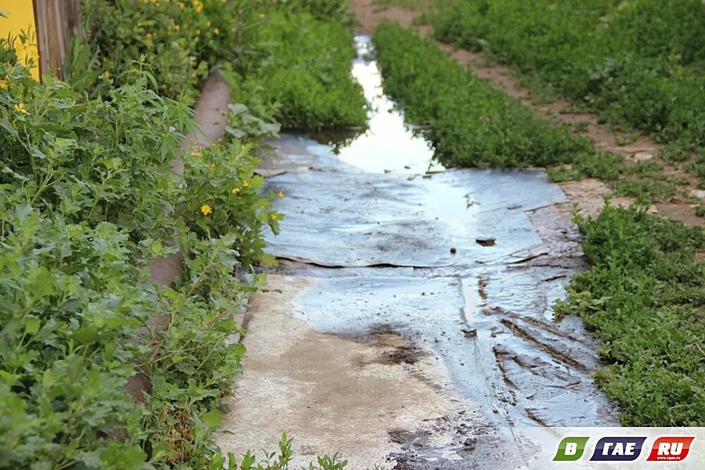 Водопровод на даче. Садоводческое некоммерческое товарищество скважина. Обустройство дренажной канавы. Вода в садоводстве. Вода в садоводстве.