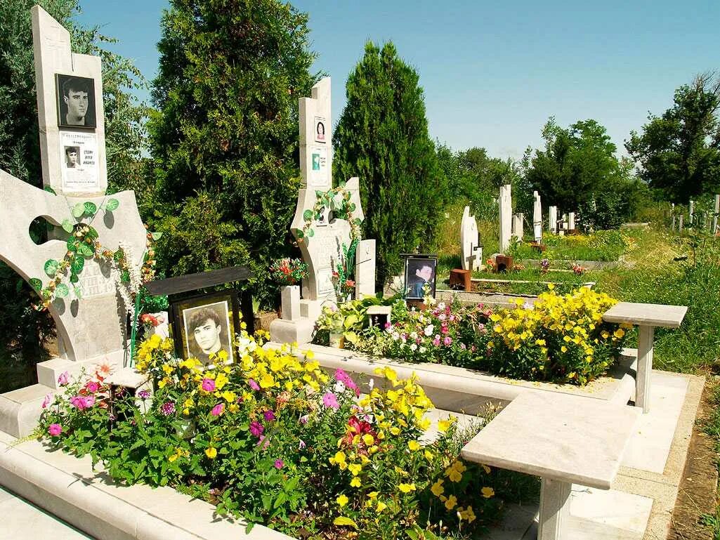 Какие цветы лучше посадить на могиле. Цветы на кладбище. Растения на могилу. Цветы на кладбище многолетние. Цветы на могилу.