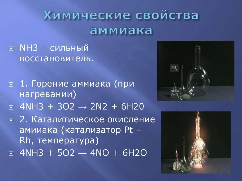 Газ nh3 название. Химические свойства аммиака 9 класс химия. Химические свойства nh3+o2. Химические свойства Амми. Кактлическое онкисление аммиака.