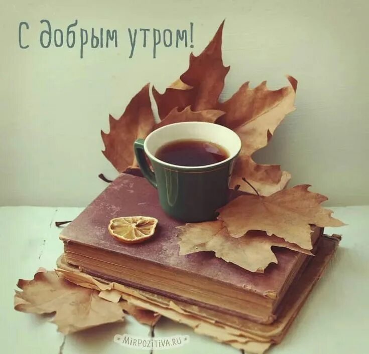 Доброе сентябрь кое утро. Осень кофе. утро кофе осень. осенний кофе с добрым утром. листва осенняя доброе утро.