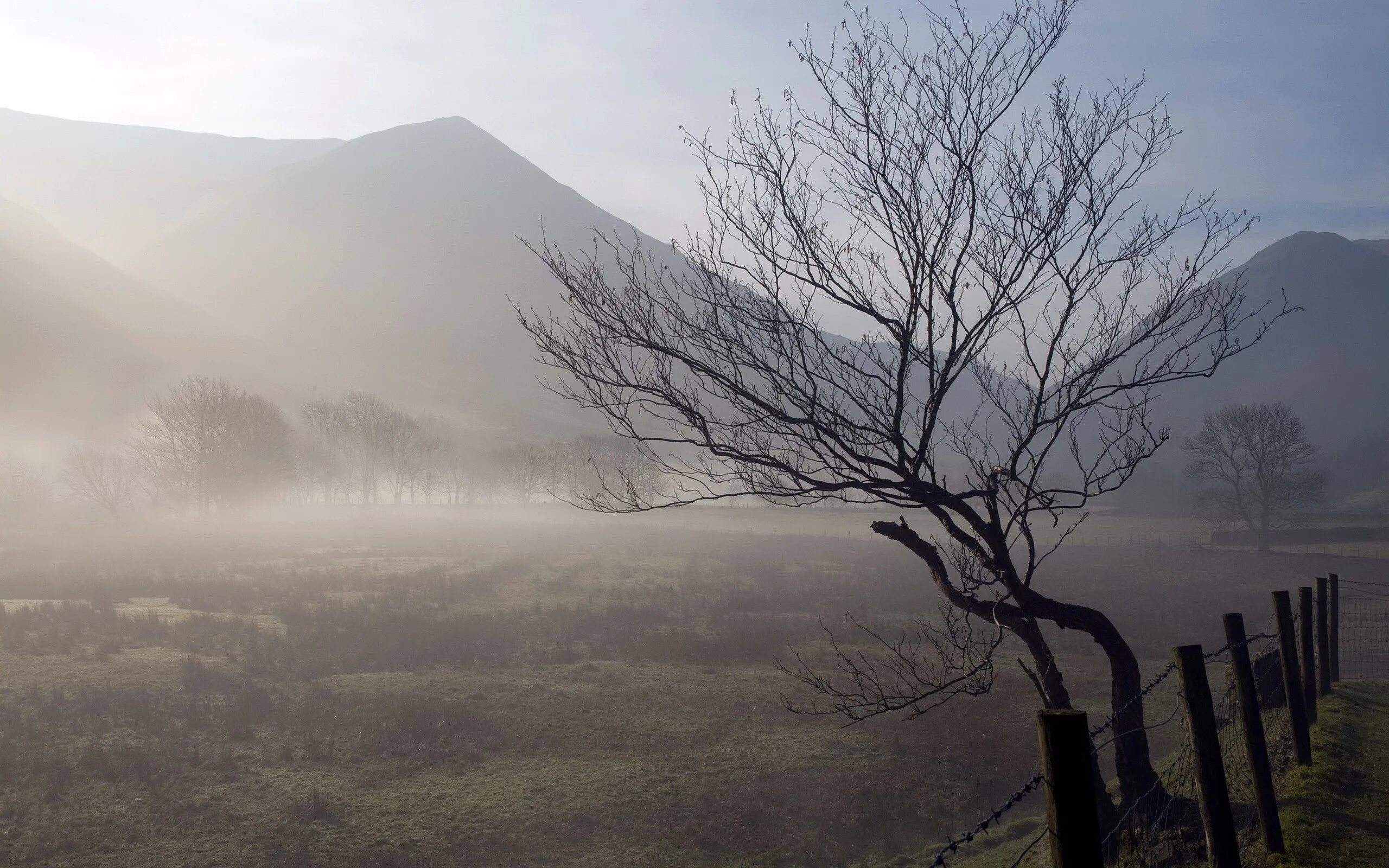 Mounting weather