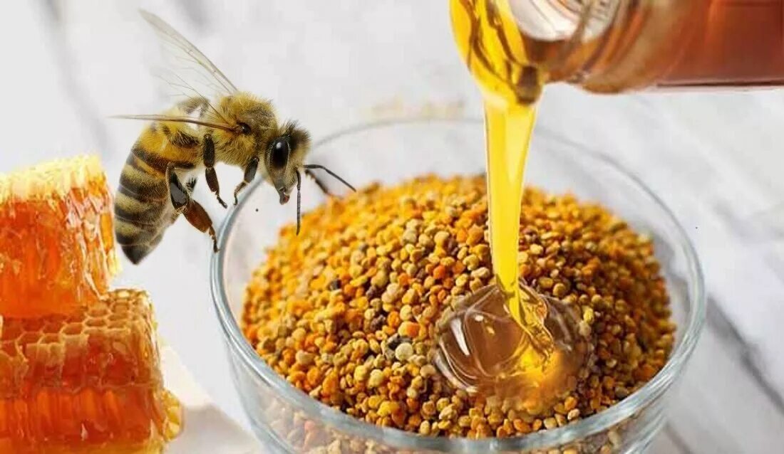 Мед и продукты пчеловодства. Пыльца перга прополис. Цветочная пыльца и перга. Перга пыльца прополис маточное молочко. Мёд перга пыльца прополис.