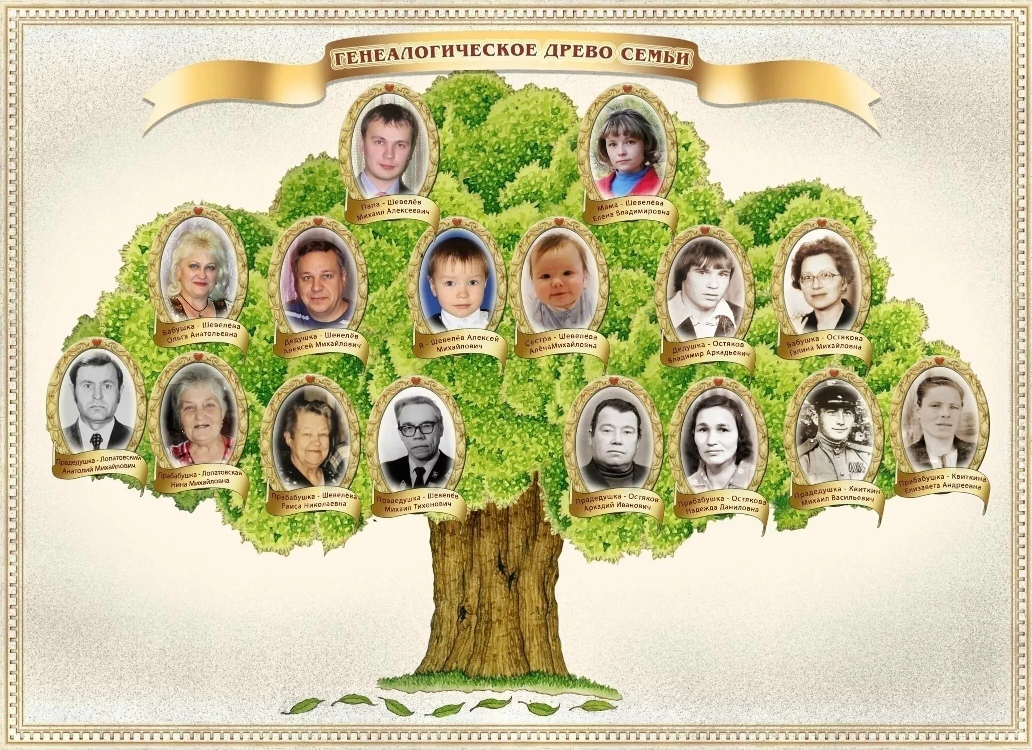 Генетическое Древо семьи родословная. Дерево для древа родственников. Семейное Древо макет. Генеалогическое дерево моей семьи.