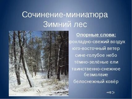 Мини сочинение в зимнем лесу