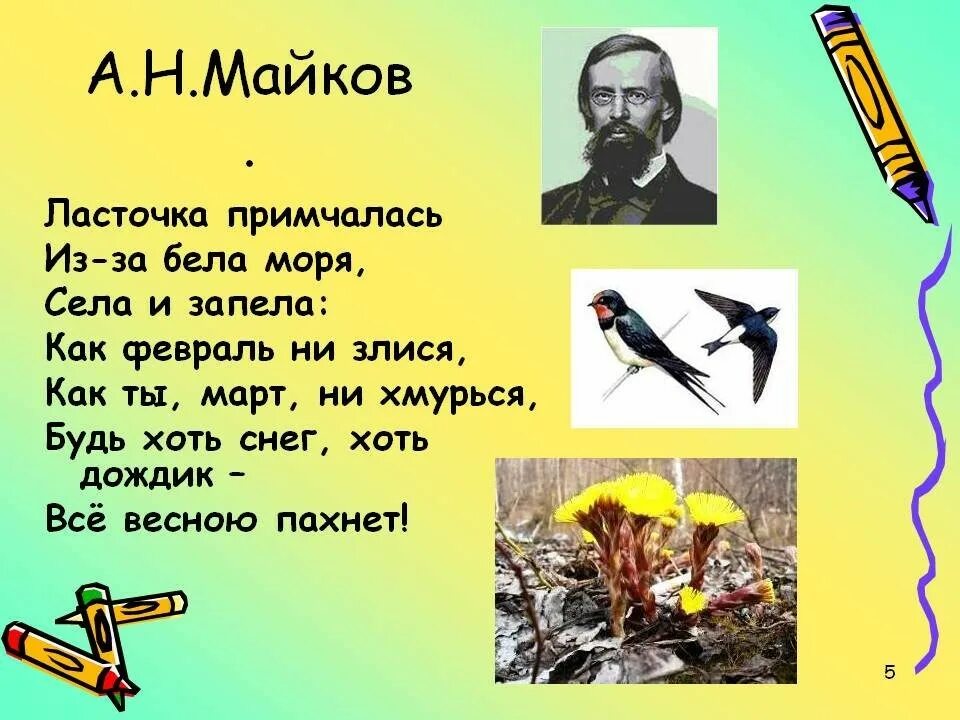 Презентация майков ласточки. Стихотворение а. н. Майкова «ласточки». Майков Ласточка примчалась стихотворение. А Н Майков ласточки.