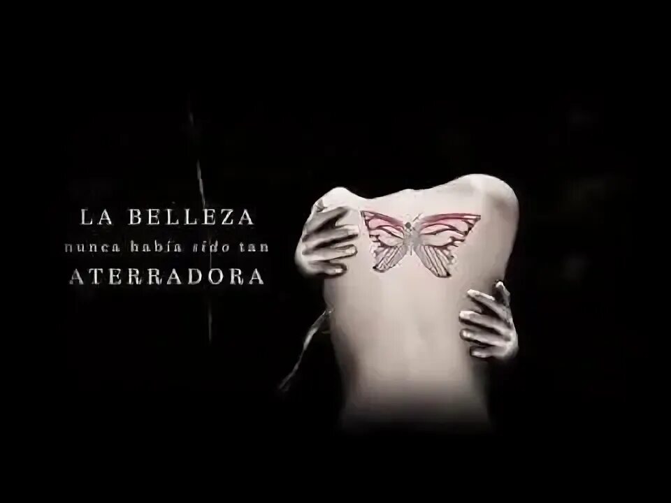 Ai ai ai im your butterfly. Ai ai ai im your butterfly