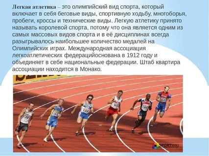 Реферат на тему физические