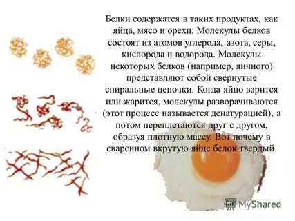 Вкус белков