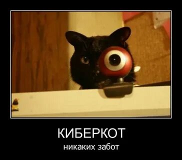 Никаких забот