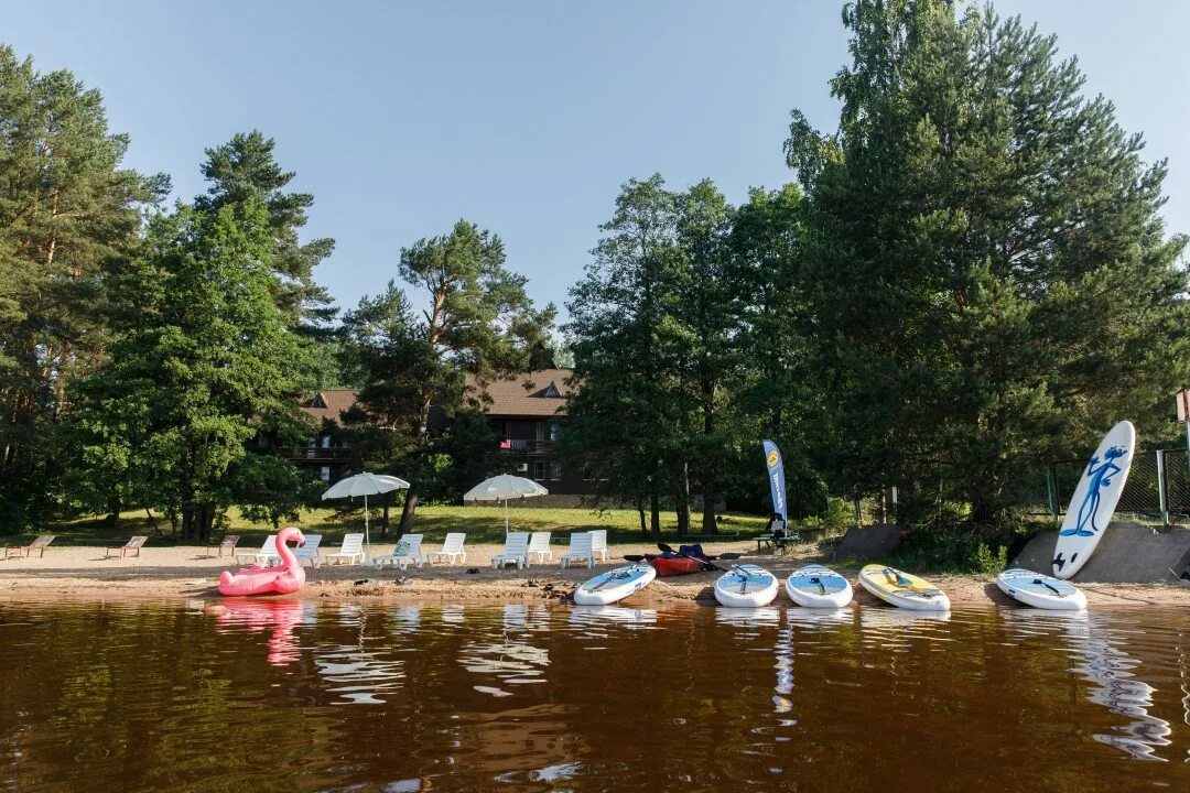 Лосево парк Ленинградская область. Лосево парк база. Лосево парк база отдыха. Вуокса парк Лосево. Лосево парк сайт