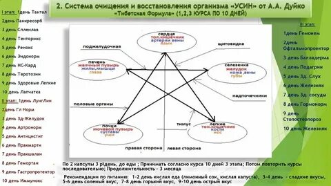 В системе дней