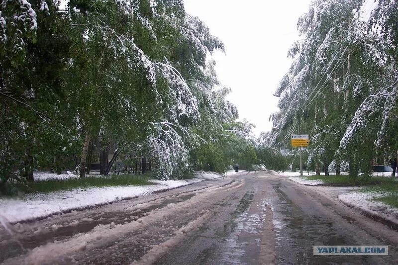 Снег в начале июня. Чебоксары 2003 год снег в июне. 3 Июня 2003 года снег в Чебоксарах. Снег в июне в Чебоксарах. Снегопад летом.