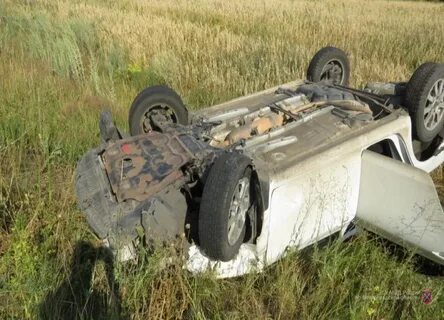 Волгоградская область происшествия за неделю