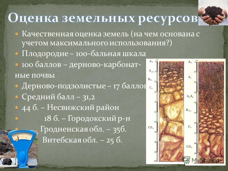 Плодородие почв зависит от содержания в ней. Дерново-подзолистые почвы плодородие. оценка плодородия почв. оценка плодородности подзолистых почв. факторы дерново подзолистых почв.