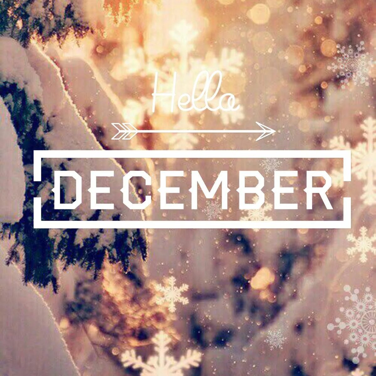 December first. Привет декабрь. Декабрь надпись. Надпись hello December. December картинки.