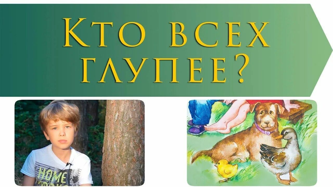 Осеева кто всех глупее. Кто всех глупее Осеева. Кто всех глупее Осеева картинки. Рассказ кто всех глупее.